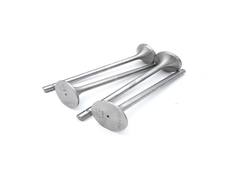 intake valve exhaust valve 12VB.03.22D/37D for 8190 12V190 JINAN CHIDONG engine