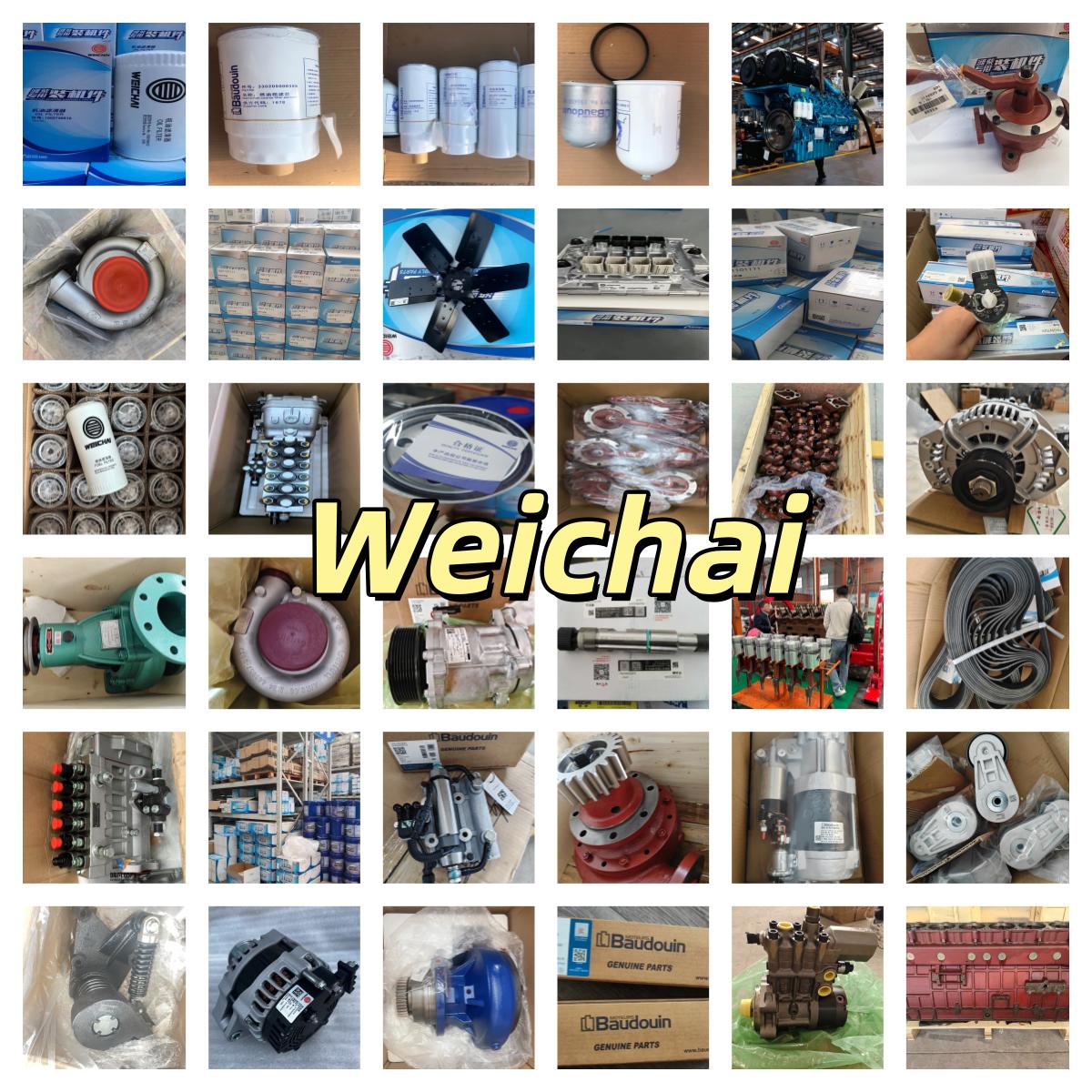 Weichai WP12G290E301