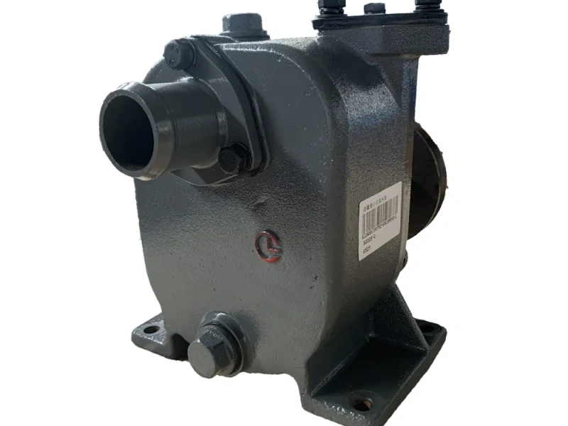 Bomba de agua de mar 612600170076, motor marino, modelo WD615.C-24 - Weichai Power