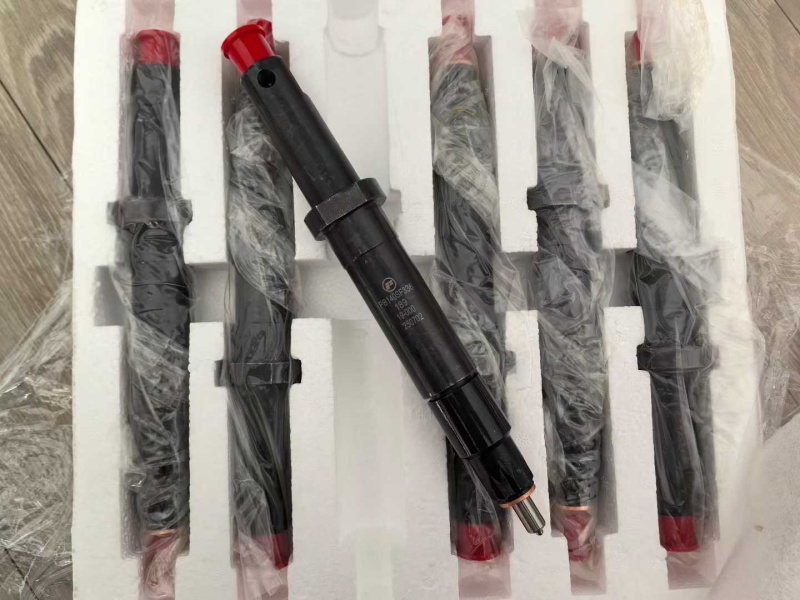 615600080200 Fuel Injector Nozzle for Weichai WD618, WD615, WP10