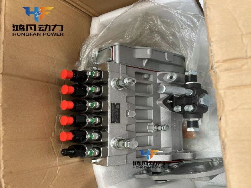 Weichai WD12C Marine Diesel Gnerator Spare Parts Injection pump 1004434127Z