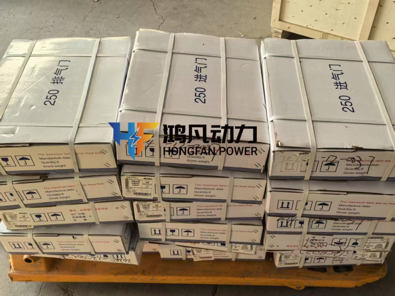 PLUNGER COUPLE L28-200100 ZICHAI L8250ZL Diesel generator