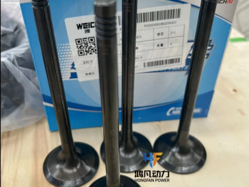 INLET AND EXHAUST VALVE 620005020059 for Weichai 6200 8200 marine diesel engine 