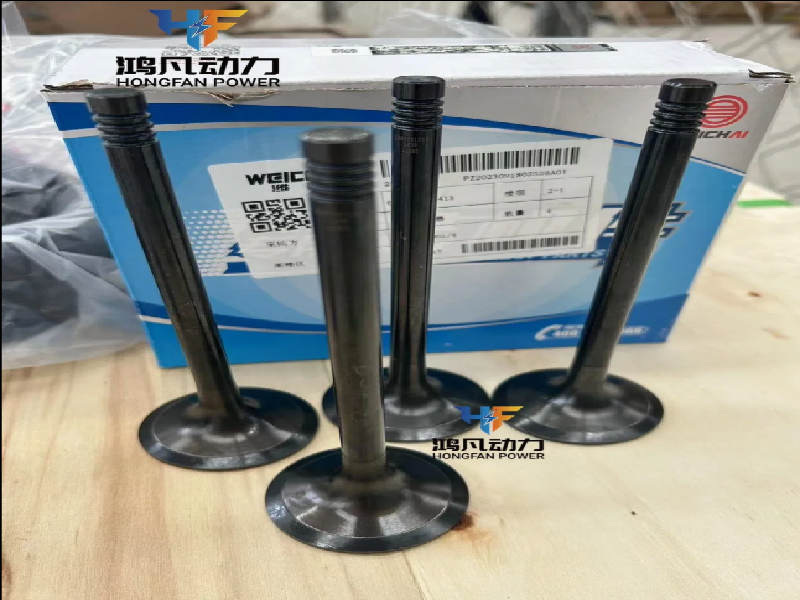 INLET AND EXHAUST VALVE 620005020059 for Weichai 6200 8200 marine diesel engine 