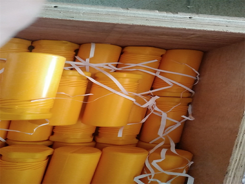 Plunger pair G12V190PZL Jichai Jinan Diesel Engine Drilling Diesel engine Parts